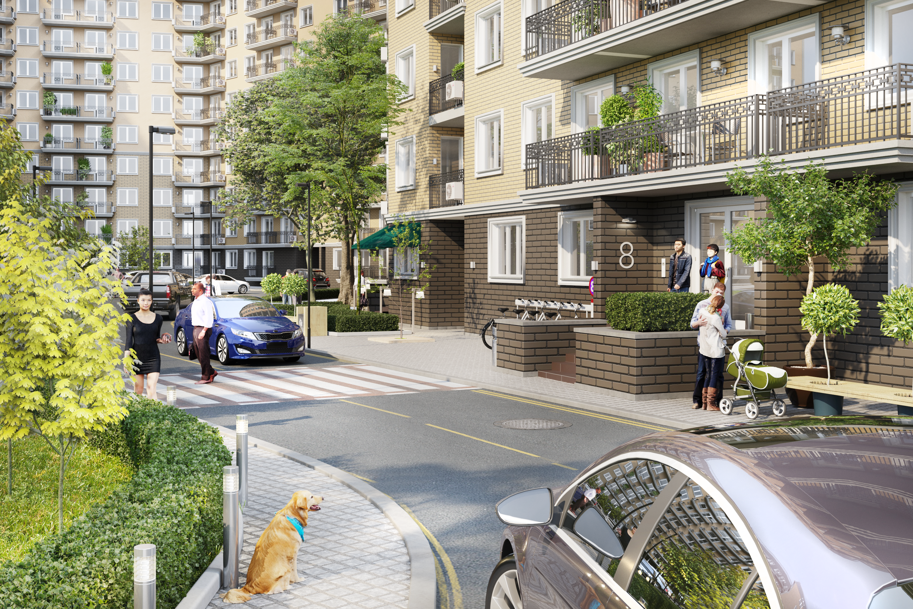 Континент 100д