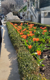 Квартира на Фонтанська дорога вул.