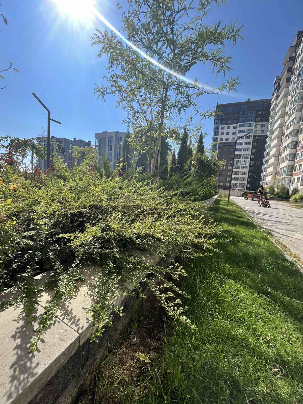 Квартира на Марсельскій вул.