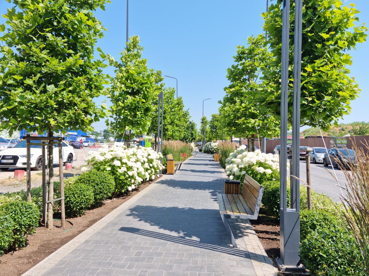 Квартира на Академика Вильямса ул.