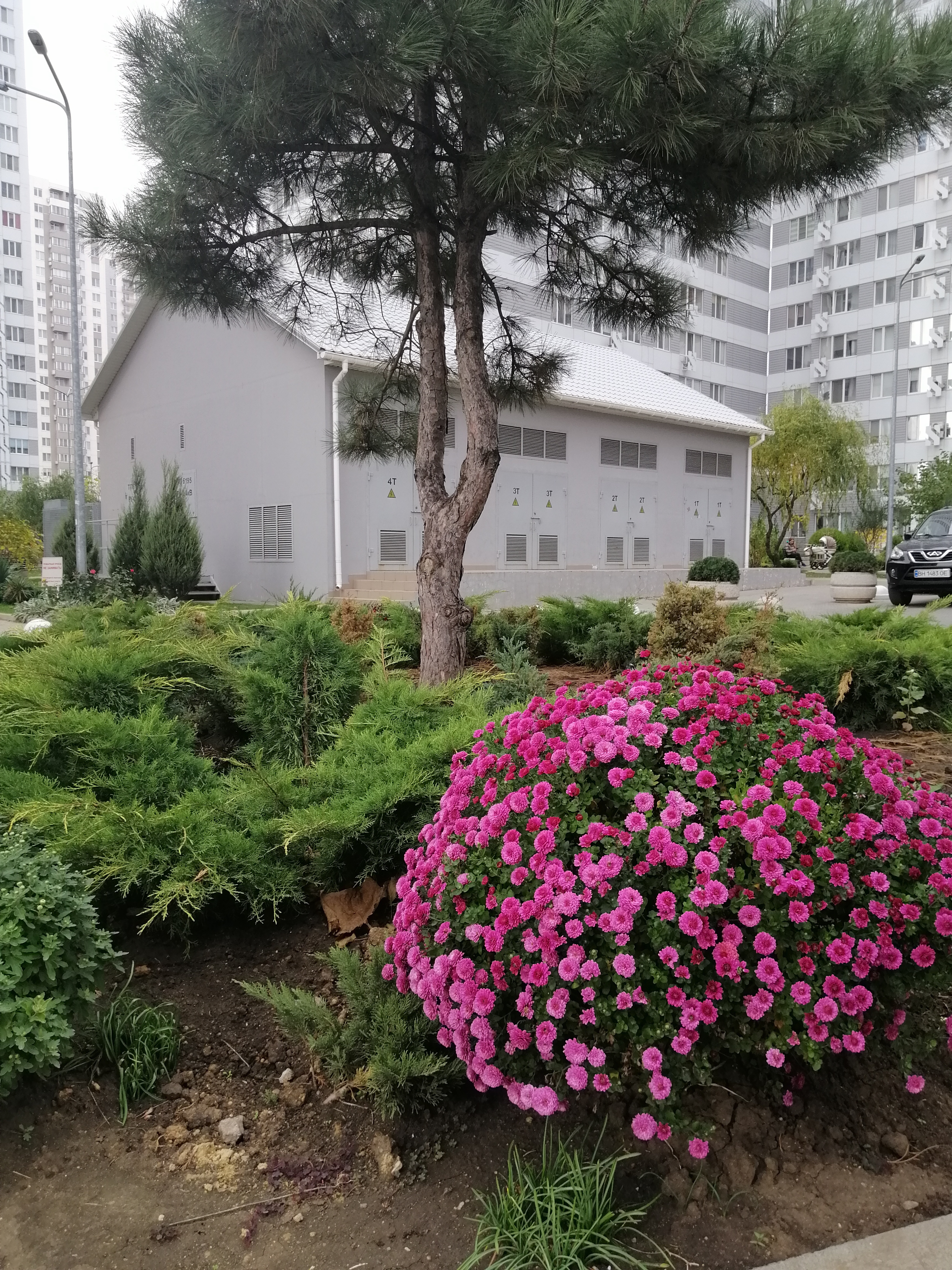 Квартира на Березовая вул.