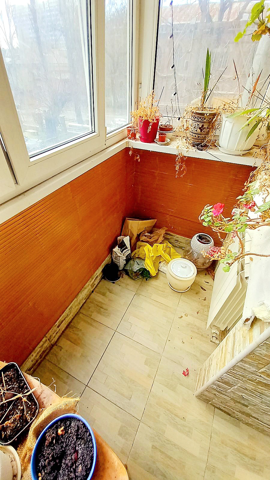 В продаже 3х ком Итальянский б-р/ Музкомедия