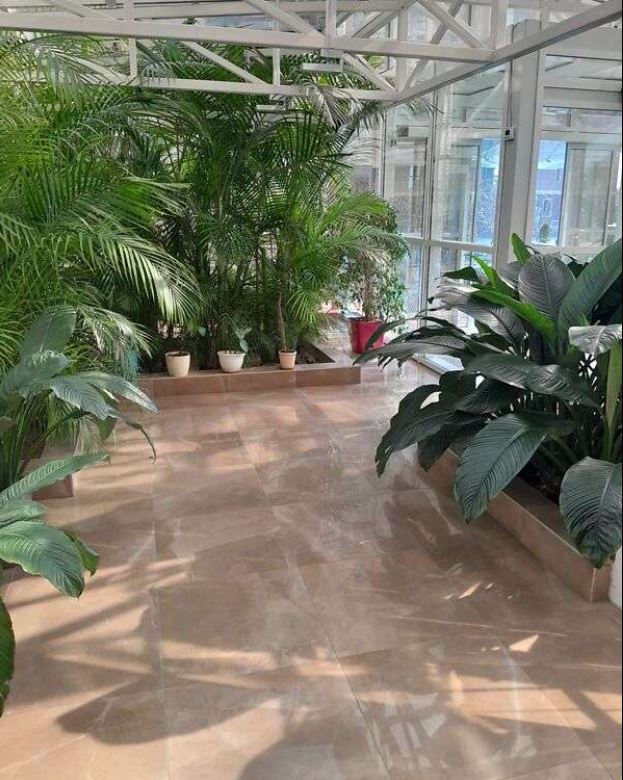 квартира на Перлинній вулиці