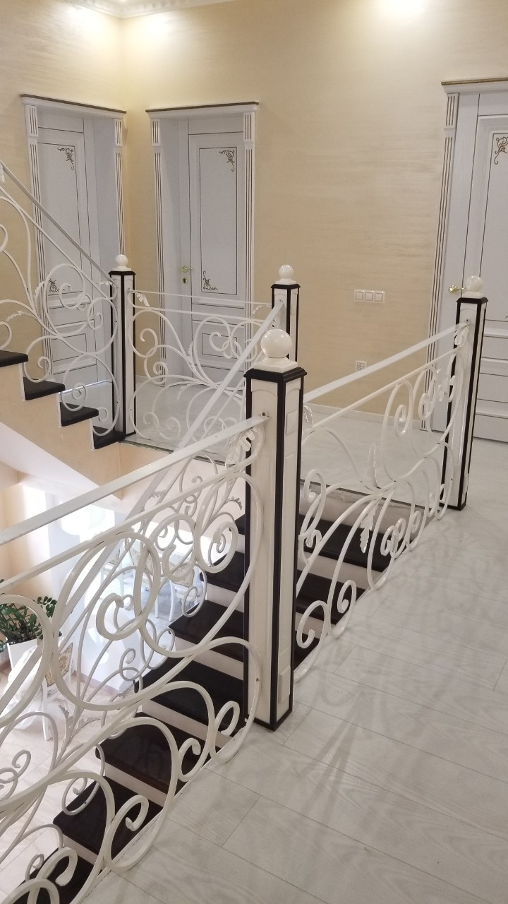 Дом на Заболотного ул.