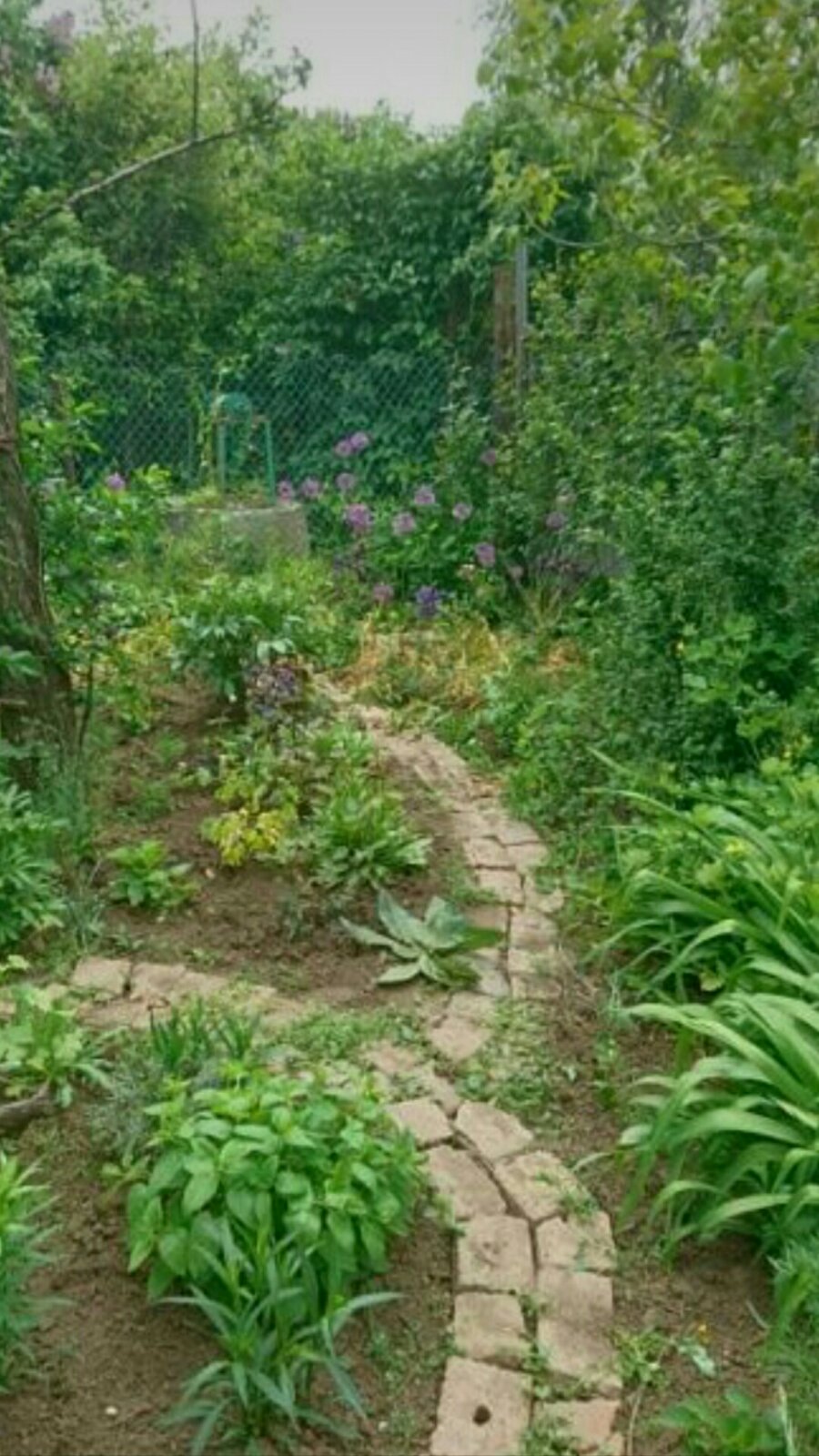 Дом на 30ой ул.