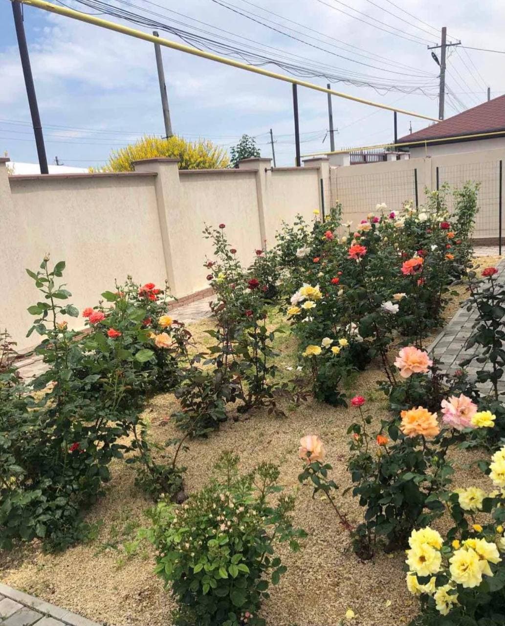 Будинок на Довженка вул.