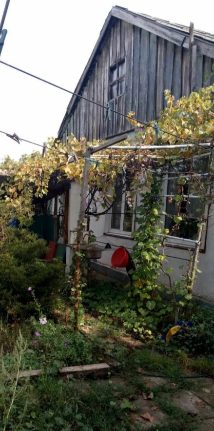 Дом в Джерельном пер.