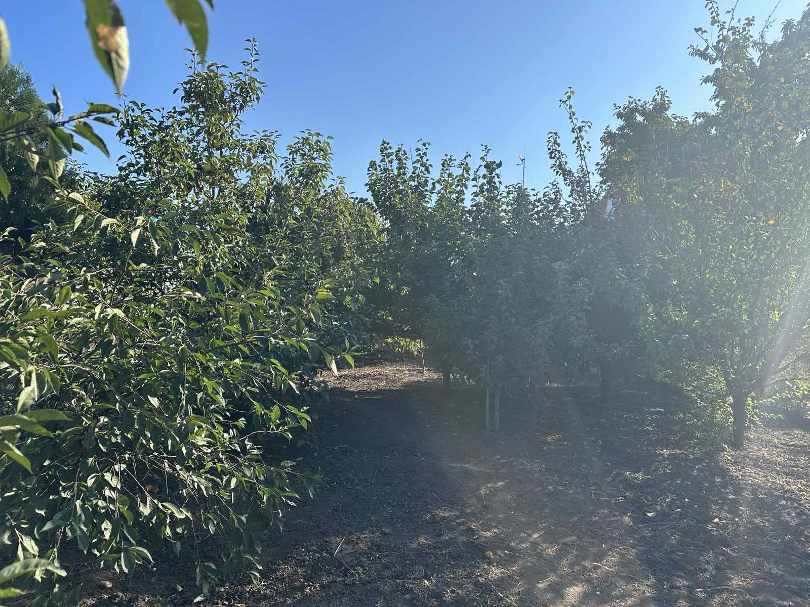 Дом на Гаркавого ул.