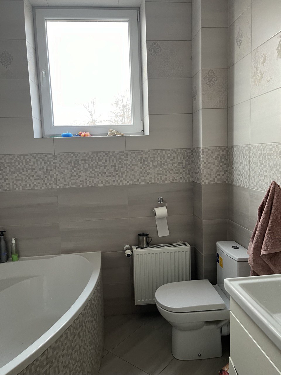 Дом в Совиньоне