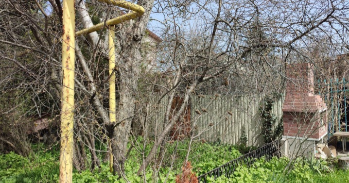 Дача на Большой Садовой вул.