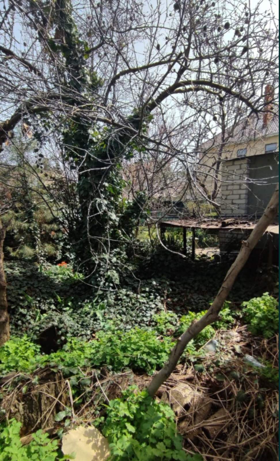 Дача на Большой Садовой вул.