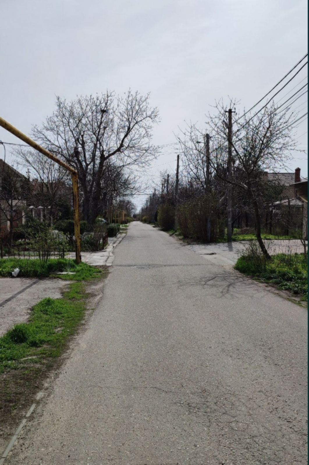 Дача на Большой Садовой вул.