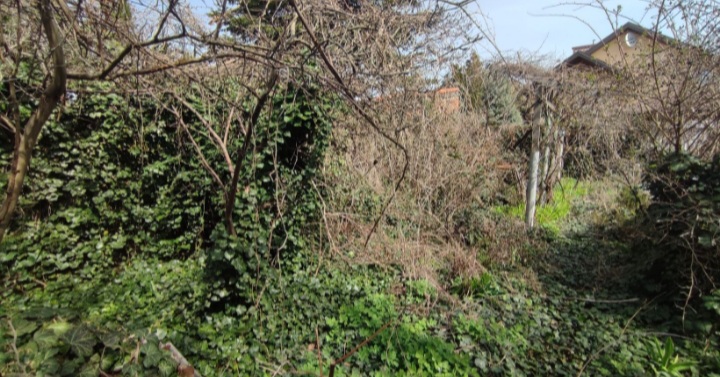 Дача на Большой Садовой вул.