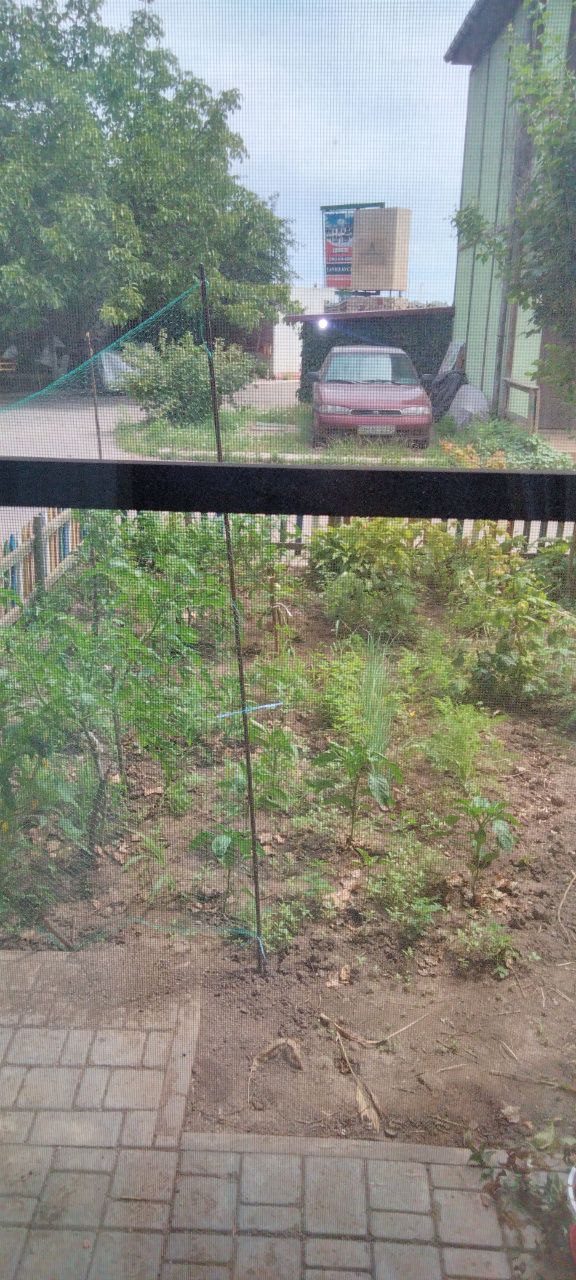 дом на Академика Заболотного ул.