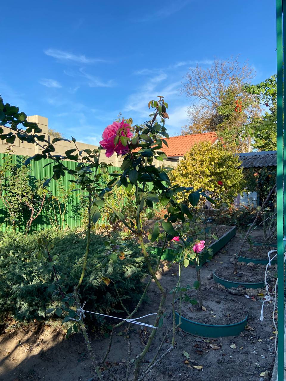 Дом на Костанди ул.