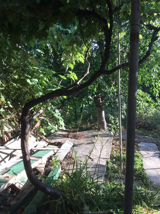 Land plot on Fontanska road, ul.