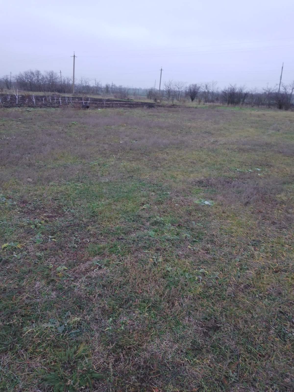 Land plot in Dobroslav village