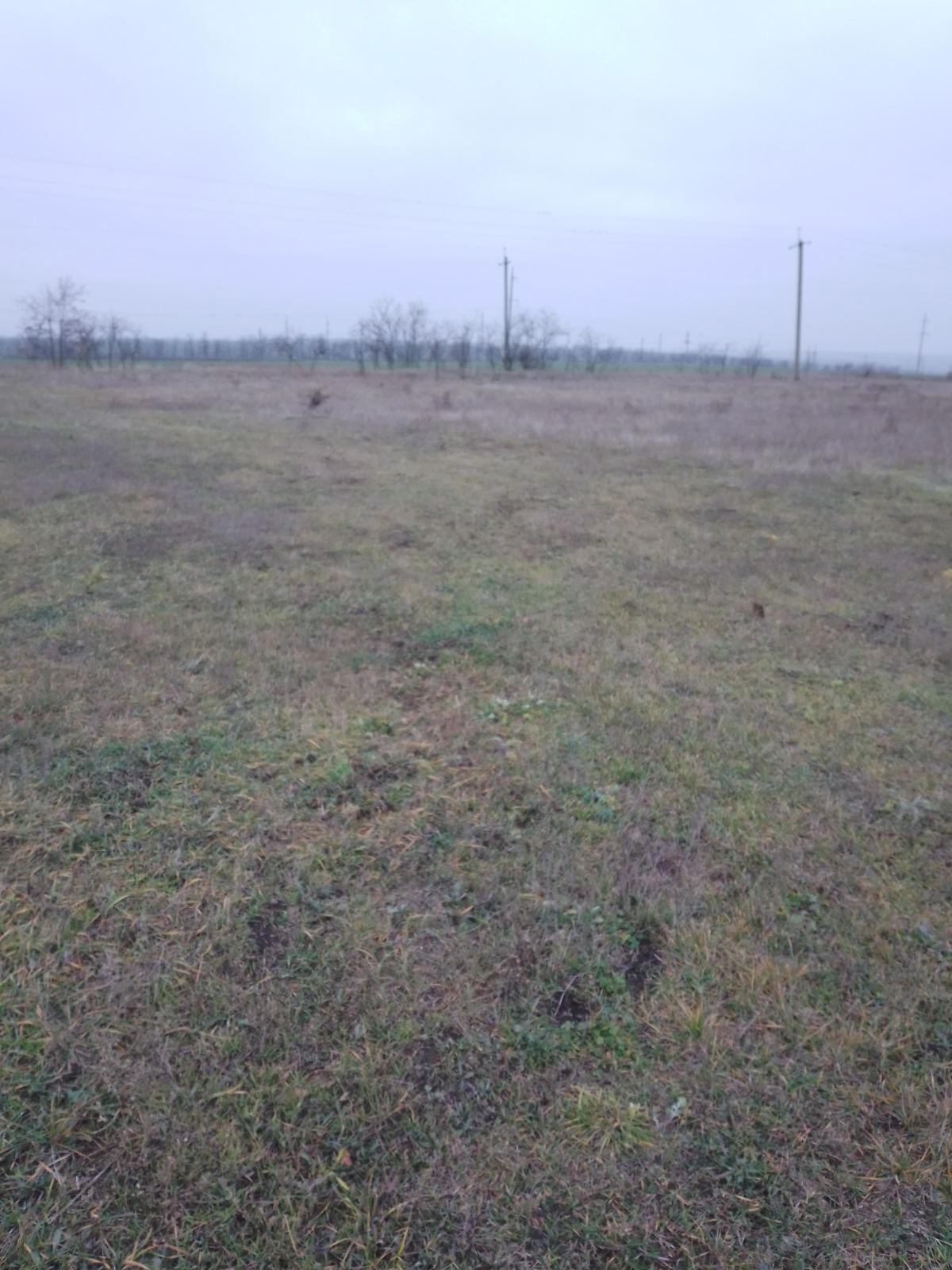 Land plot in Dobroslav village