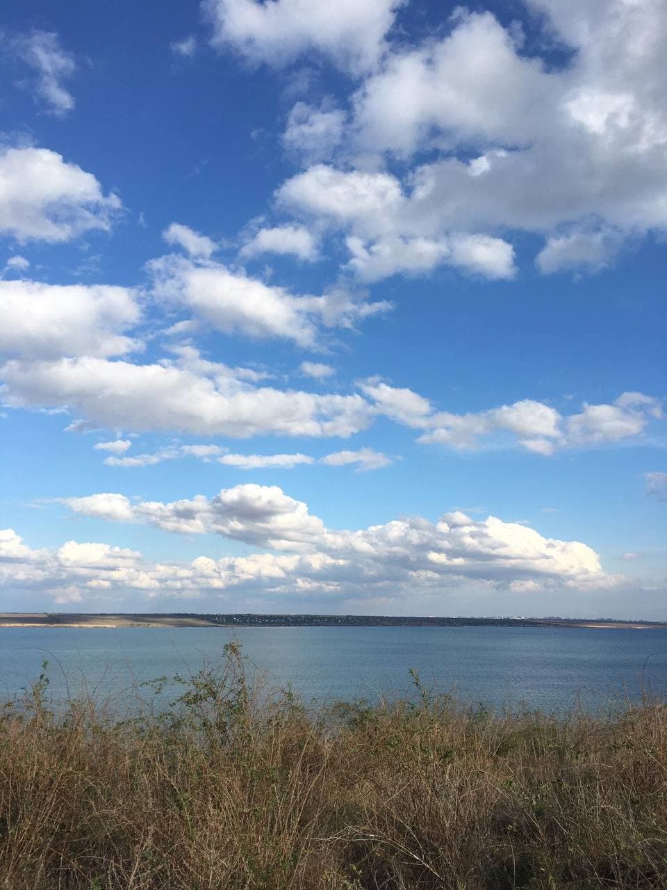 The plot on Poleva vul.