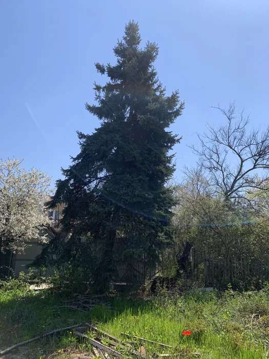 Land plot 2nd line of Maria Demchenko str.