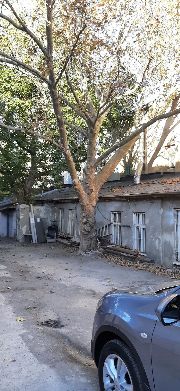 EX! For sale! Urgent! A plot of land on Malaya Arnautskaya!