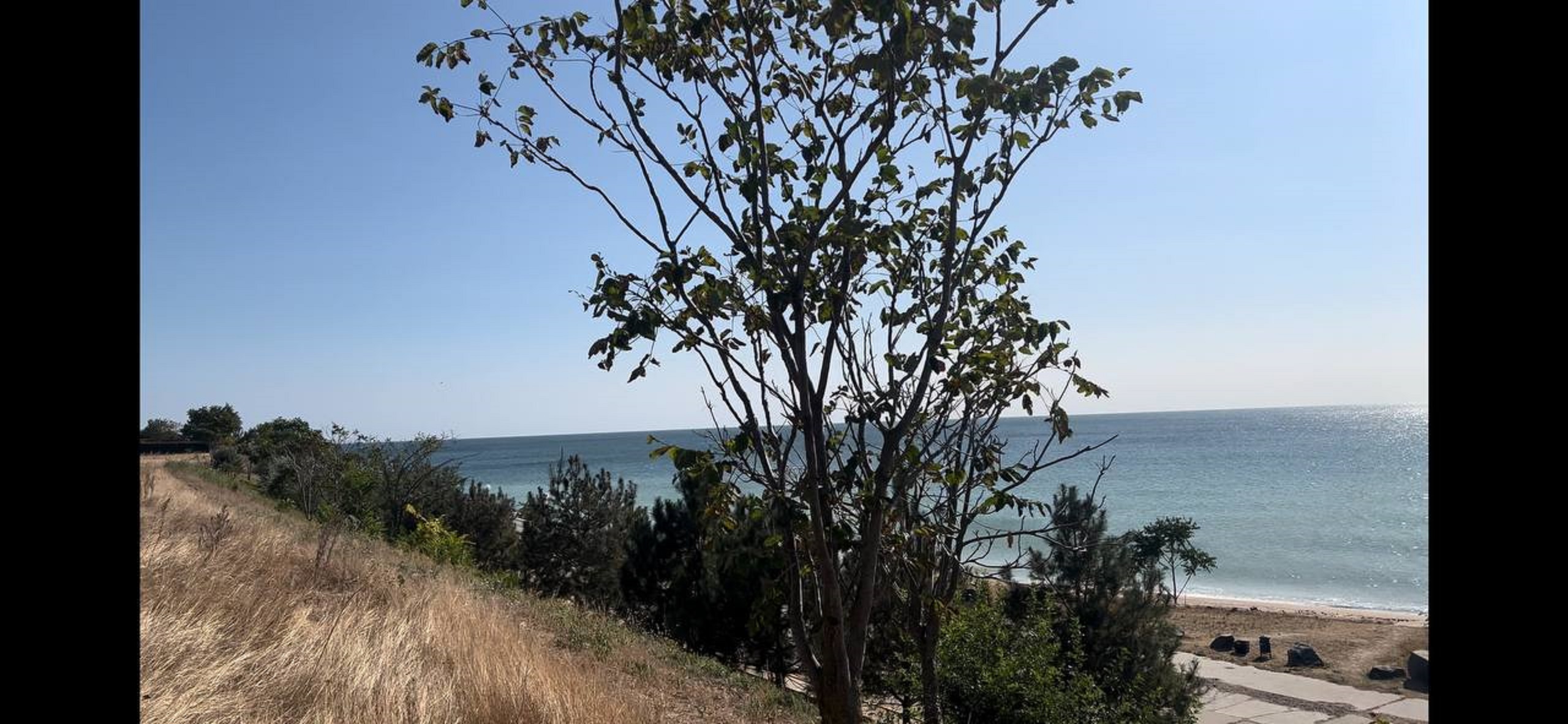 The plot on Naberezhna str.