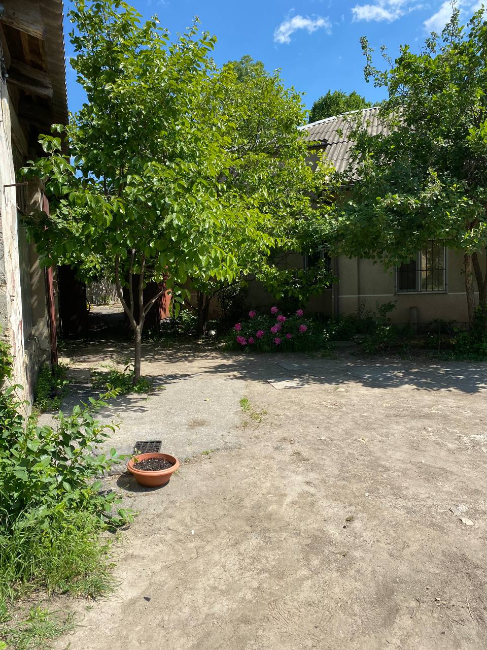 The plot on Novikova Street