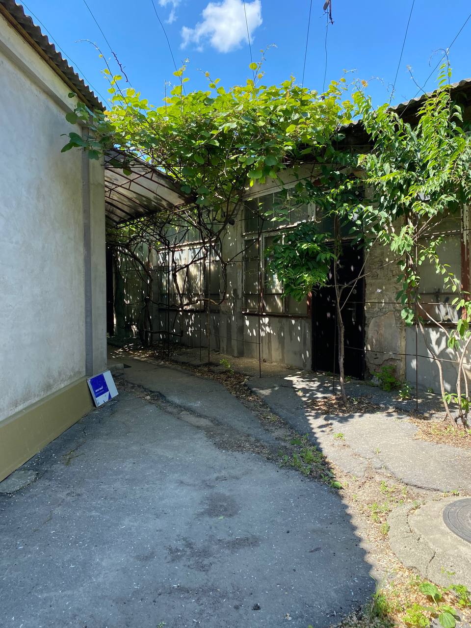 The plot on Novikova Street