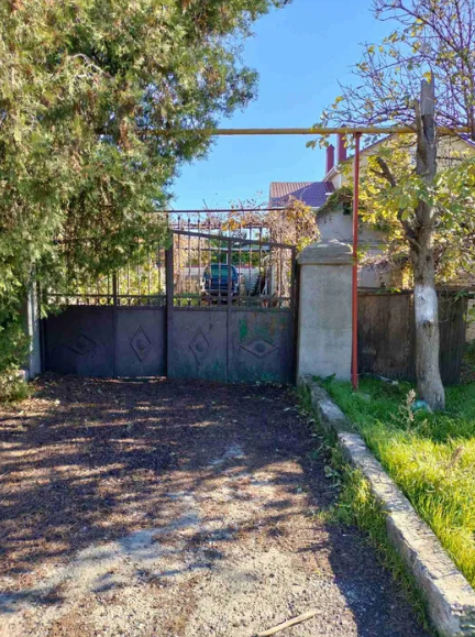 A plot in Kryzhanivka