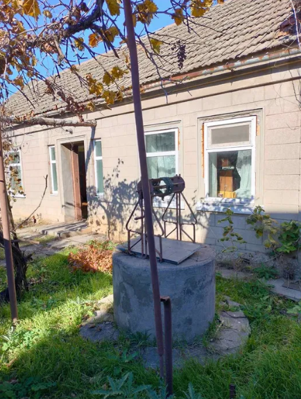 A plot in Kryzhanivka