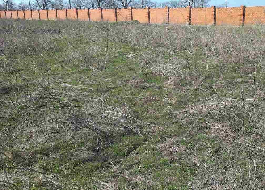Land plot on the array No. 23 Sauvignon